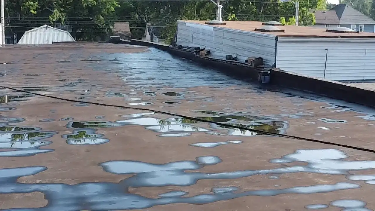 Commercial Roof Replacement Albion: Cost and Timeline